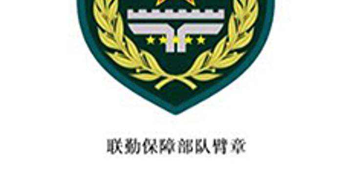 解放军联勤保障部队8月1日起佩戴新式胸标臂章