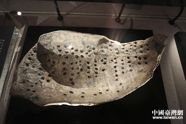 卜甲。（中国台湾网 李宁 摄）