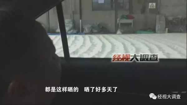 本文图片均来自微信公号经视大调查