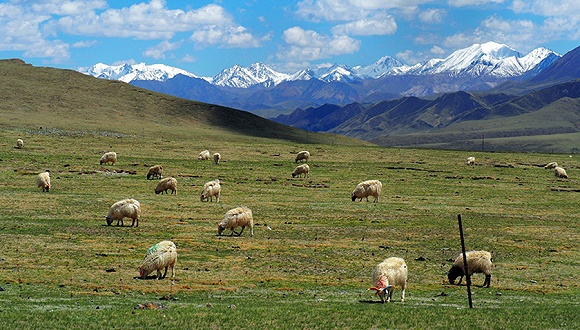 图片来源：视觉中国