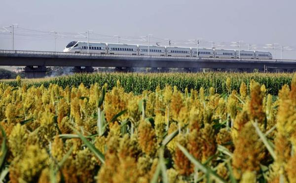 8月2日，草原铁路动车组为明天呼张高铁开通作最后冲刺。视觉中国 图