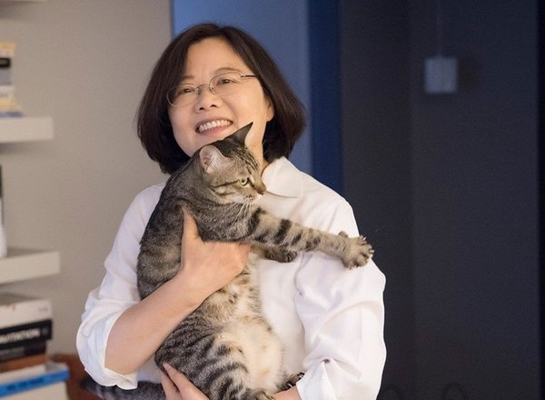 蔡英文怀抱宠物猫“蔡想想”。（图片来源：蔡英文脸谱网）