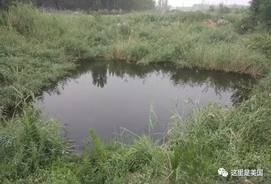 发现李文星尸体的水坑