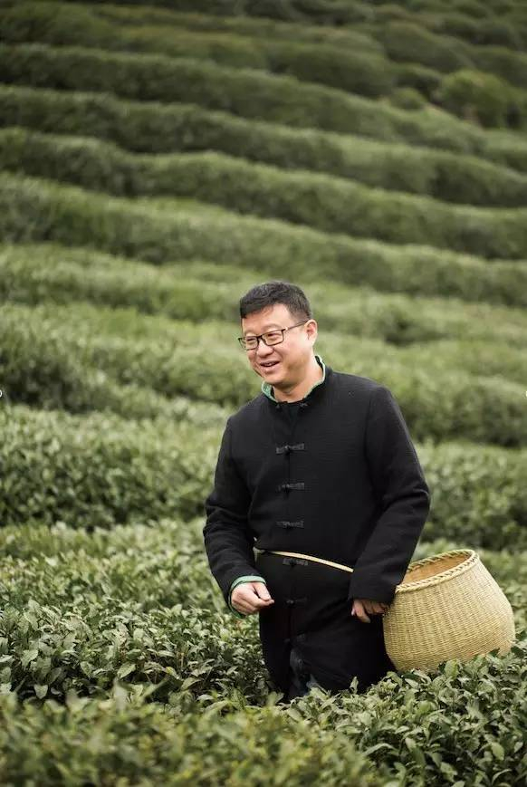 网易严选在2017年推出明前龙井头茶，丁磊在杭州狮峰山茶叶产区亲自采摘