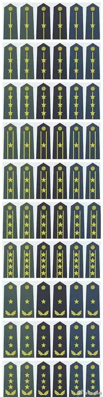  07式陆海空军官常服肩章。