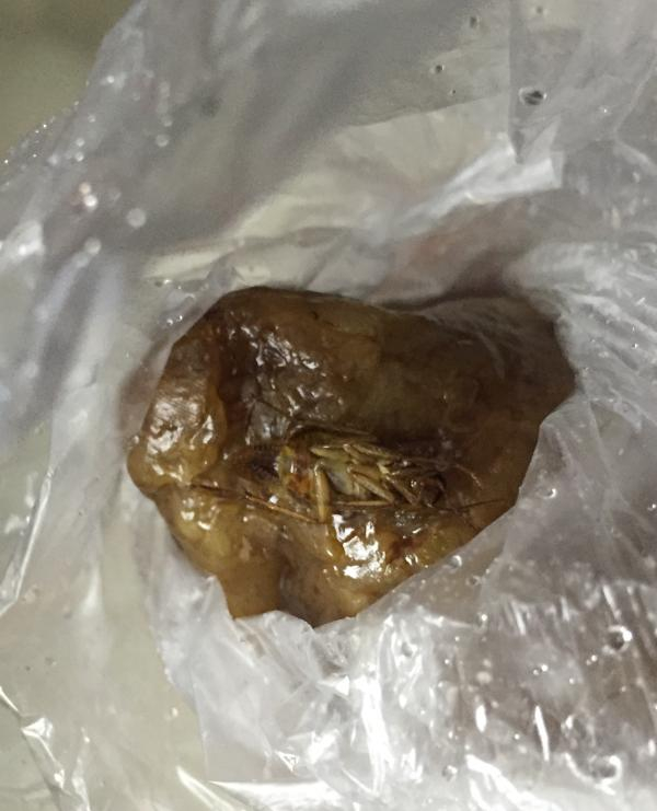 一只脚朝天的褐色蟑螂，半截裹在肉粽中。 &nbsp;本文图片均由罗小姐提供