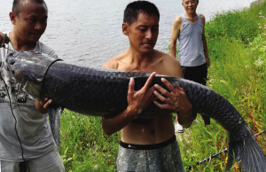 李先生手捧大鱼&nbsp;■摄影&nbsp;温忠帅