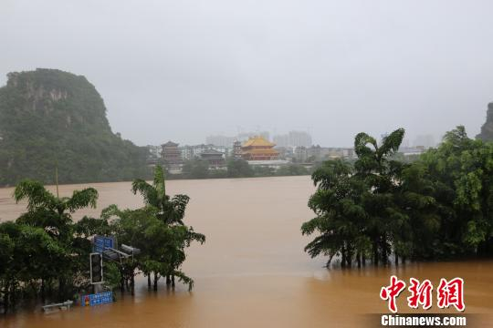 8月15日14时，广西柳州市出现今年第四次超警戒水位洪水。　林馨 摄