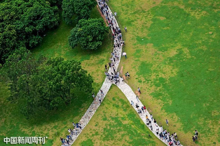  深圳大学校园一角。图 | CFP