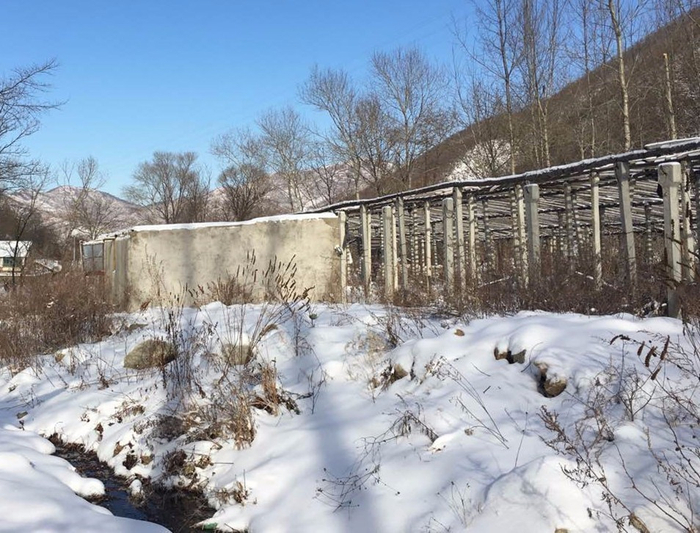 ▲去年12月13日上午，王大姐带记者来到家人曾遇难的地方。新京报记者&nbsp;李明 摄