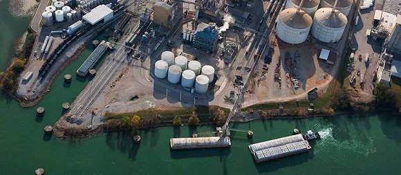 图片来源：Bunge官网