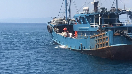 被查大陆渔船所载渔获，被丢入大海。（图据台媒）