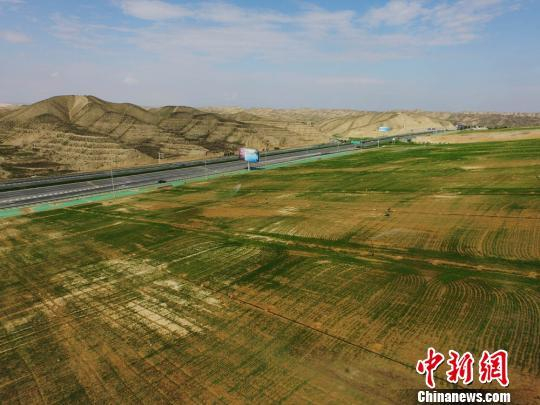 兰州新区境内，公路两旁可见通过荒坡植绿方式实现的绿色通道。（资料图） 杨艳敏 　摄