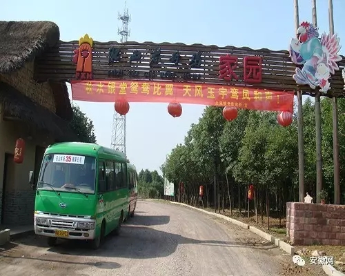 肥西老母鸡家园景区