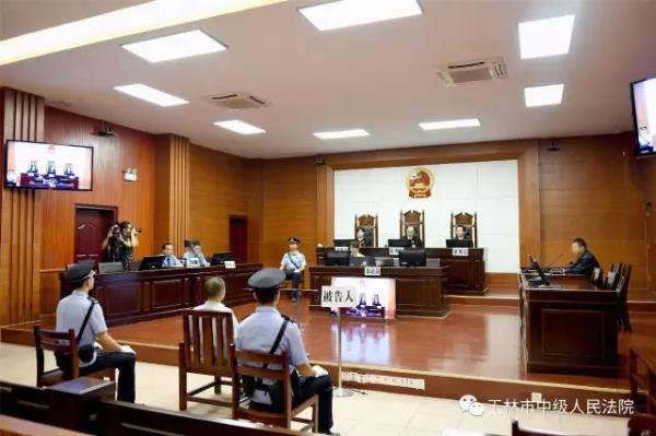 玉林市中级人民法院审理查明