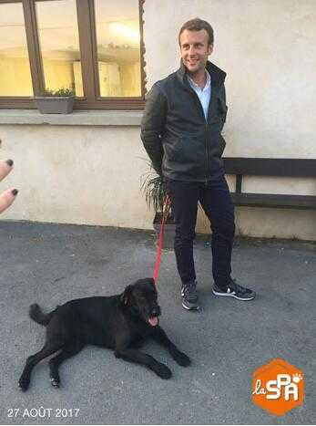 马克龙牵着尼莫。（图片来源：流浪狗收容中心）