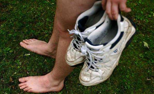 （图片源于网络）