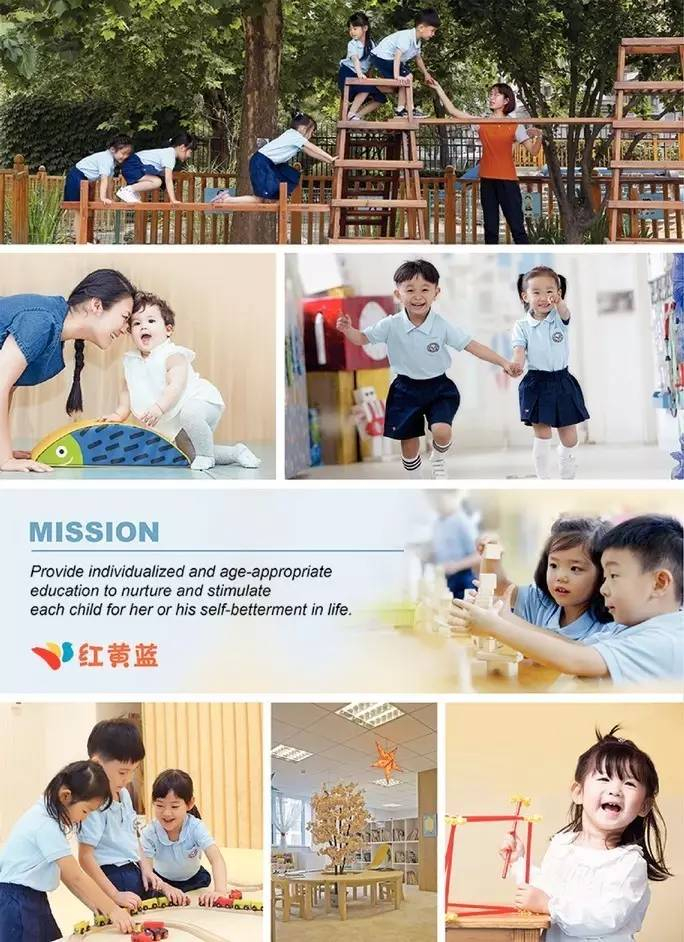 　▲图片来源：红黄蓝IPO文件
