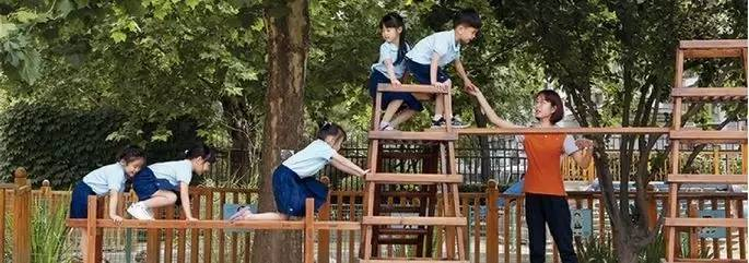 ▲图片来源：红黄蓝招股书