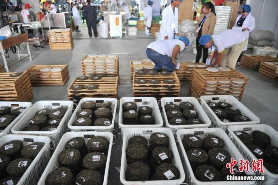 资料图：等待包装的普洱茶饼。中新社记者 刘冉阳 摄