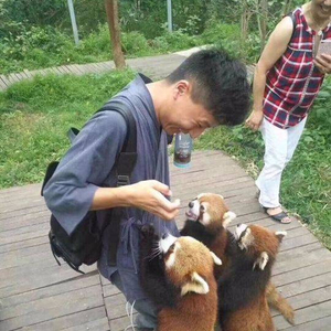 小熊猫 長頸頸頸頸頸頸頸露露露露露露露露露：誰一直叫我我MJ116最高