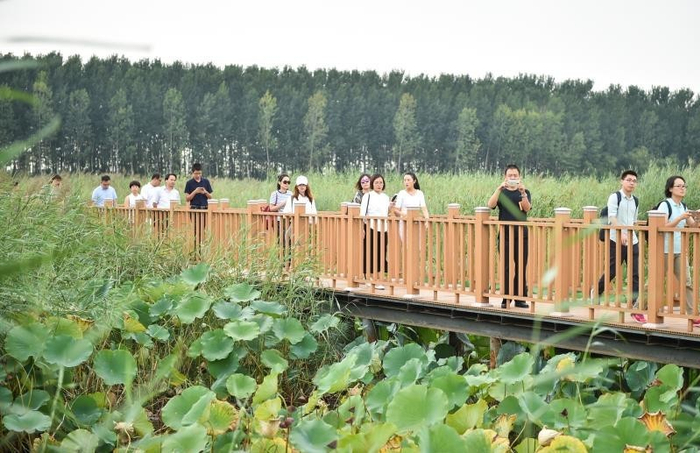 9月10日，中央新闻媒体采访团赴雄安新区集中采访。 &nbsp;赵杰摄