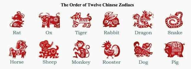  图注：中国的生肖顺序——鼠、牛、虎、兔、龙、蛇、马、羊、猴、鸡、狗、猪。
