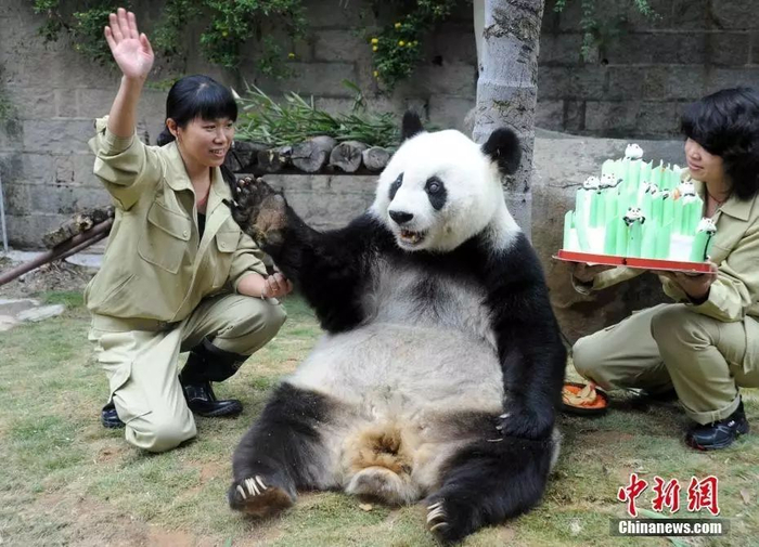 中新社记者 刘可耕 摄