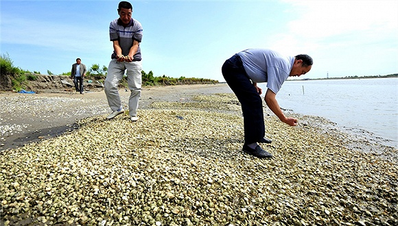 图片来源：视觉中国