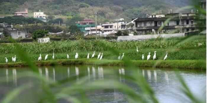 蔡英文爱法国大餐,马英九吃便当,李登辉喜鱼翅