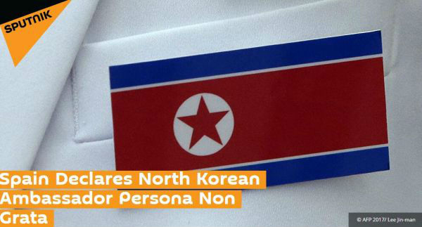 俄罗斯卫星网报道截图