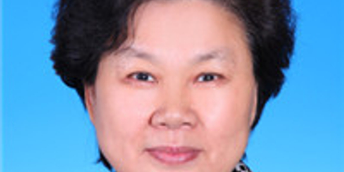 安立敏仍任铁总党组成员(图\/简历)