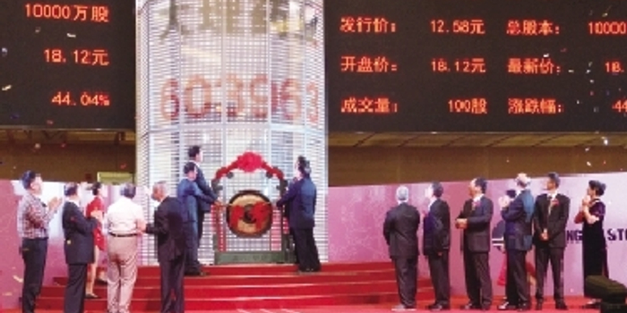 大理药业股份有限公司首次公开发行A股股票杨