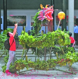 火龙。（资料图片） 广报全媒体记者廖雪明 摄