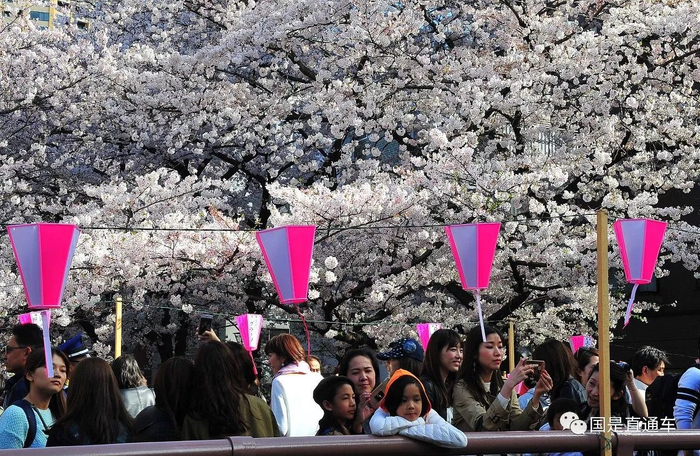 　中新社记者 王健 摄