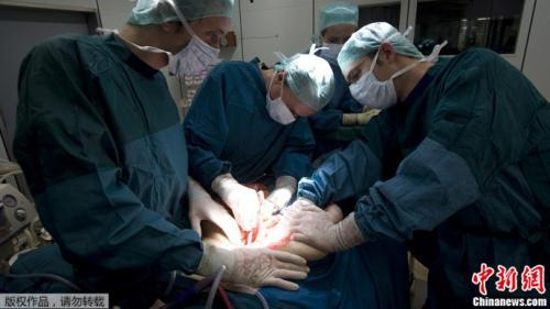 资料图：器官移植手术