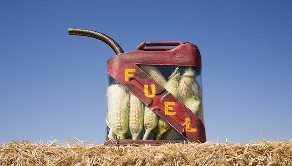 图片来源：视觉中国