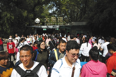 昨日上午11时30分，北京动物园熊猫馆入口大量游客排队参观。