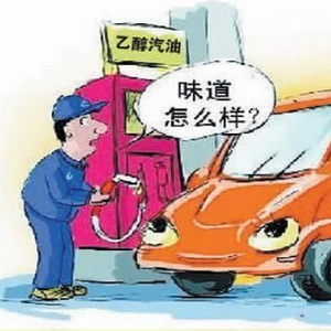 旅游自驾还是乘车 w300h300t50eb3.jpg