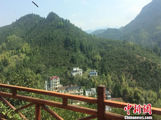 小木屋外的景观。　孙佳琦　摄