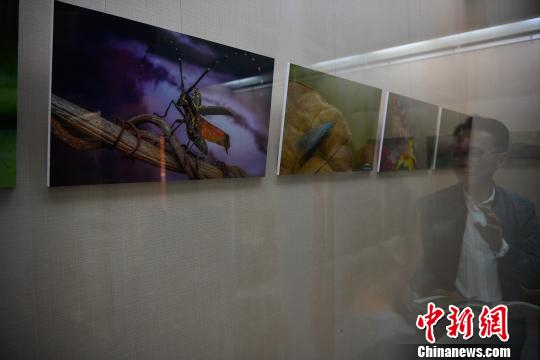 图为展览现场。　刘冉阳　摄