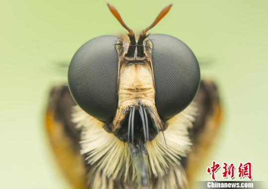 图为展出作品。　金飞龙 摄