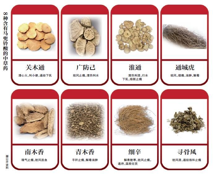 8种含有马兜铃酸的中草药。图/新京报网