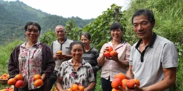 贫困县脱贫摘帽后剩下的贫困户咋安排?_手机