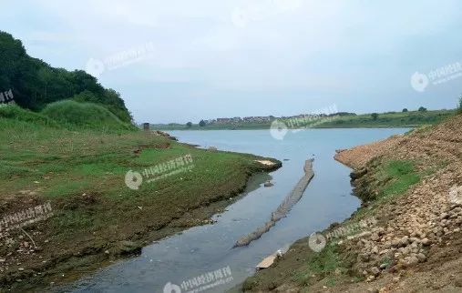 江西省景德镇市乐平市塔山工业园大山庙排污口&nbsp; &nbsp;《 中国经济周刊》记者 李永华 | 摄&nbsp;