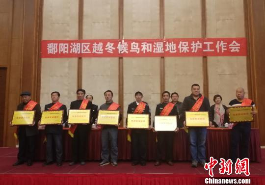 11月6日，“鄱阳湖区越冬候鸟和湿地保护工作会”召开。　苏路程 摄