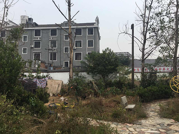 豫章书院北侧。 澎湃新闻记者 胡芮默 图