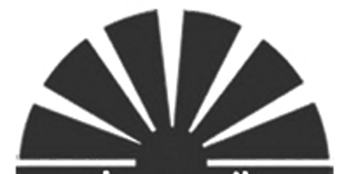 山东大业股份有限公司首次公开发行A股股票上