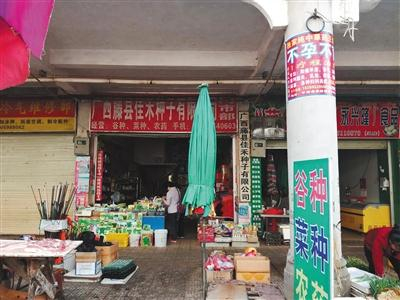 上市公司神农基因年报中显示的前五大应收账款方之一“藤县佳禾”公司所在地。新京报记者 孙旭龙 摄