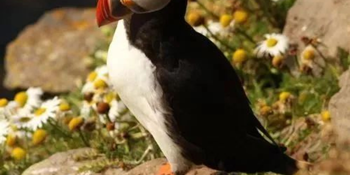 东方基金:站在新时代起点 分享新兴产业的投资